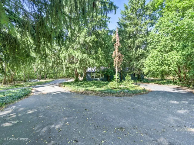 a view of a yard with a tree