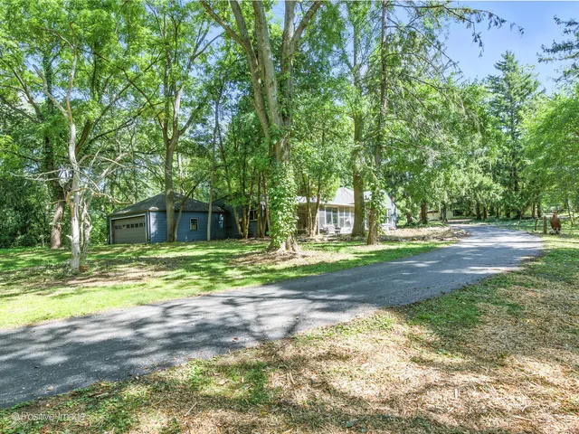 a view of a trees in a yard with large trees