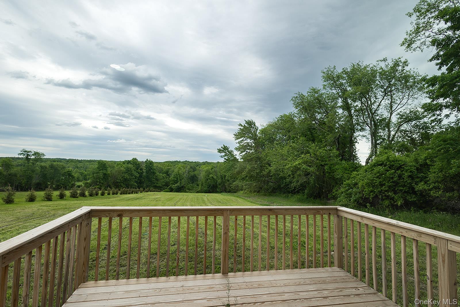 168 Pine Grove Road Middletown, NY 10940 - Photo 9 of 43