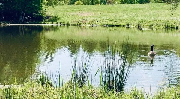 a view of a lake with a floor to ceiling window and a wooden floor