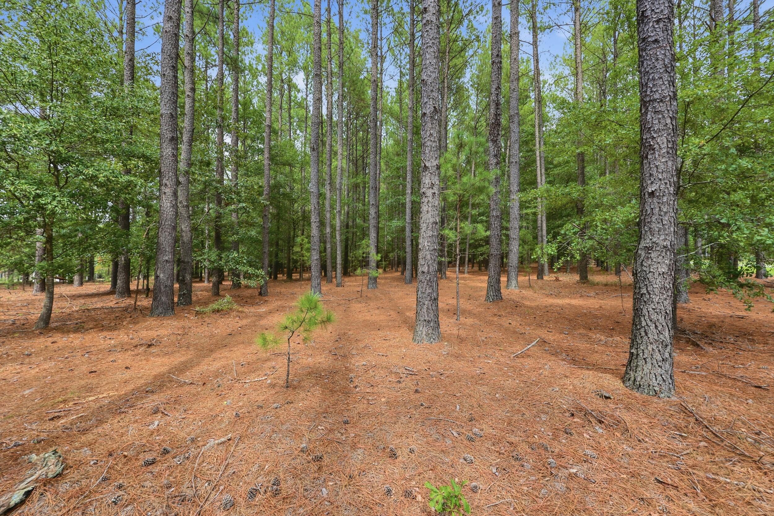 707 Mt Ebal Road Batesburg, SC 29006 - Photo 44 of 44 Gallery Image 44