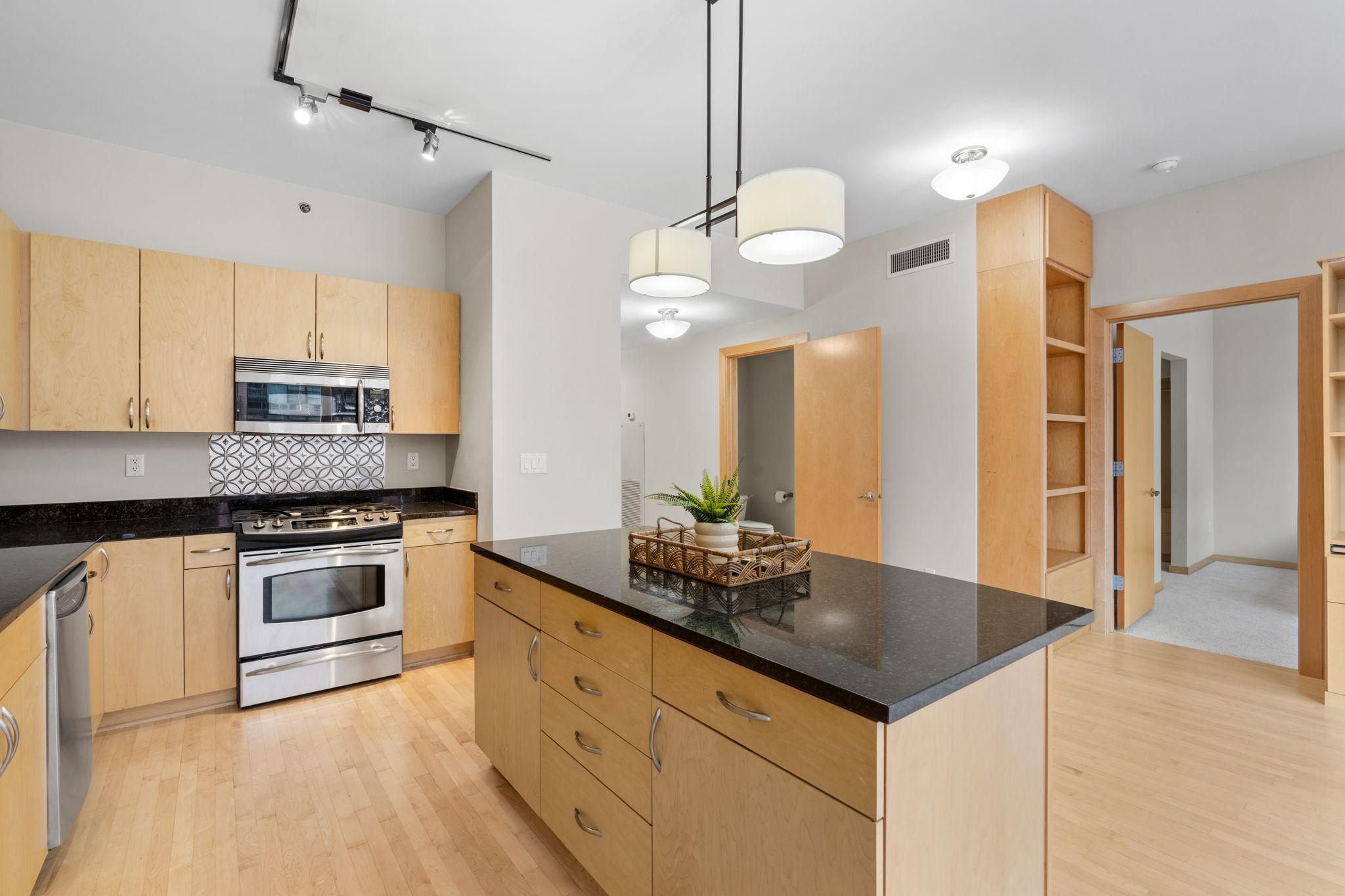 215 10th Avenue South, Unit 533 Minneapolis, MN 55415 - Photo 11 of 65 Gallery Image 11