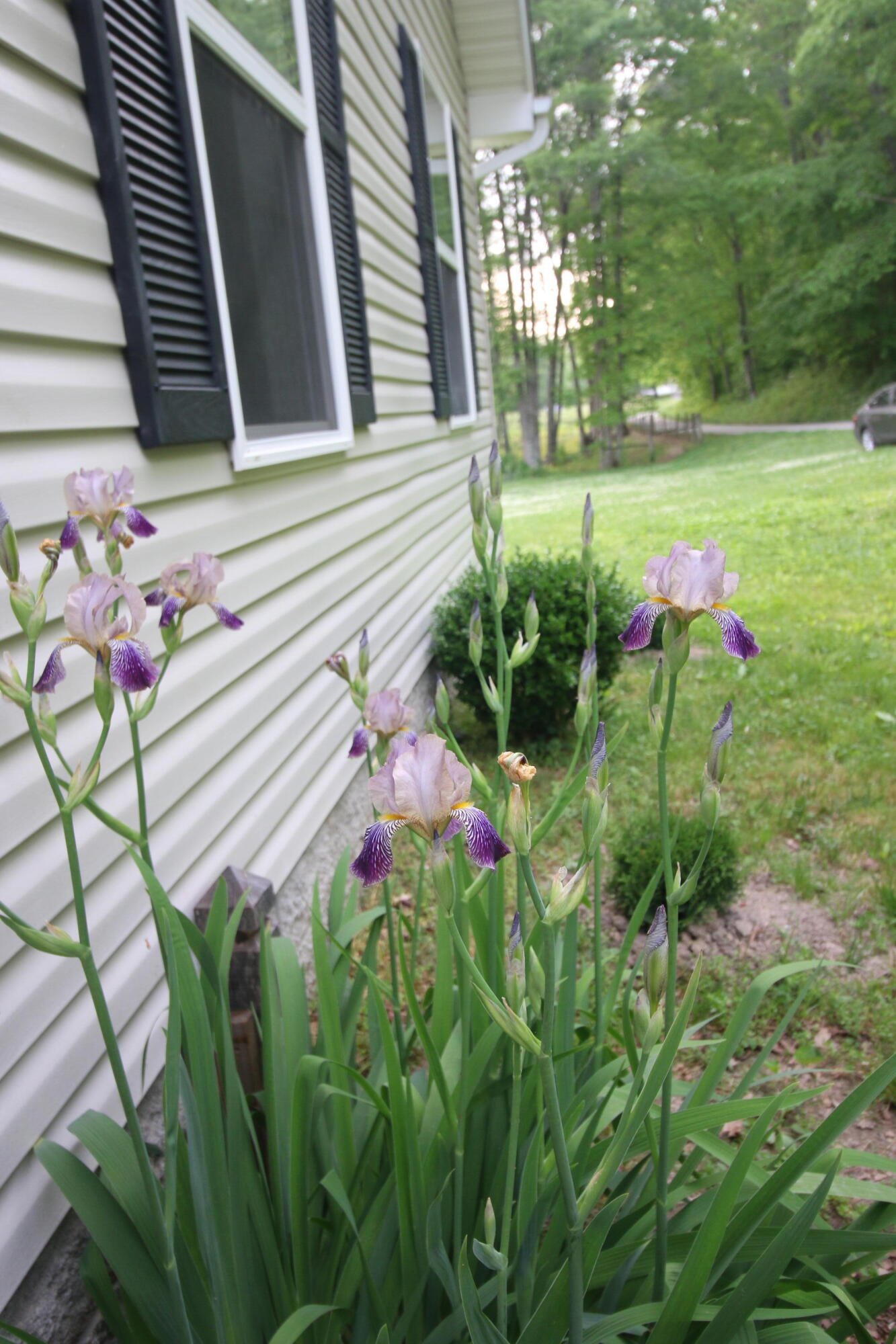 4655 Bullfork Road Morehead, KY 40351 - Photo 18 of 20 Landscaping