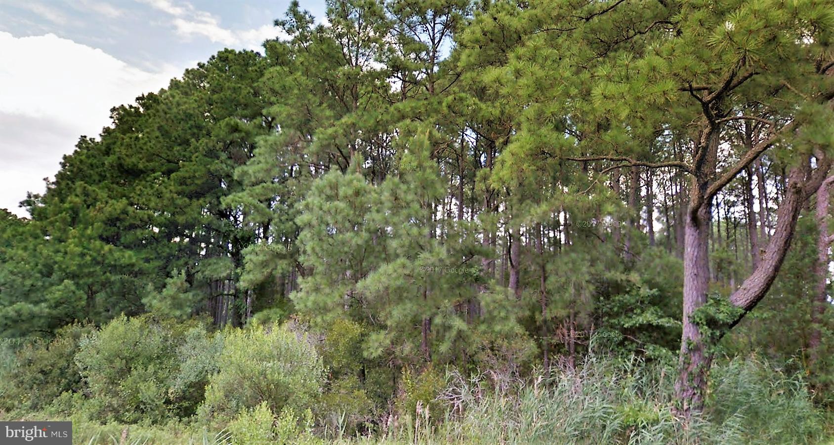 Byrdtown Road Crisfield, MD 21817 - Photo 2 of 3 Exterior (General)