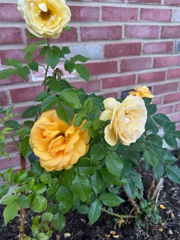 $339,000 | 640 Sanders Court, Gurnee, IL 60031