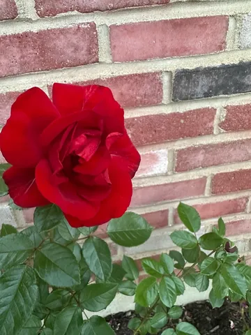 $339,000 | 640 Sanders Court, Gurnee, IL 60031