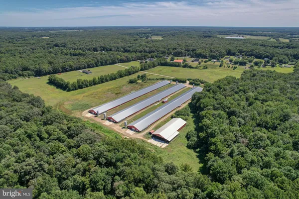 $3,200,000 | 112 Open Meadow Court, Clayton, DE 19938