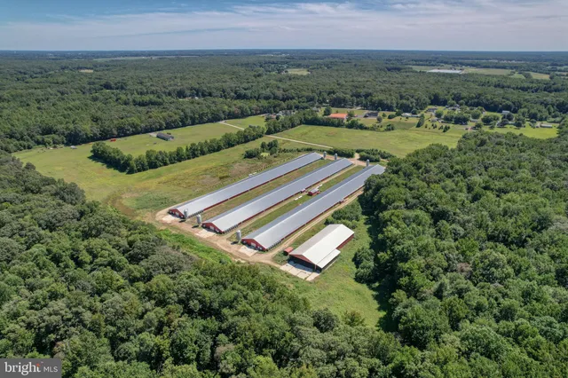 a view of a balcony with a yard