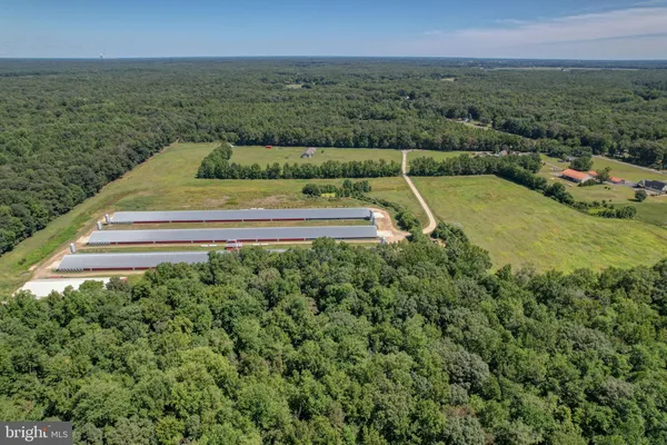 $3,200,000 | 112 Open Meadow Court, Clayton, DE 19938