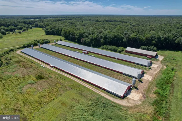 a view of a big yard with large trees