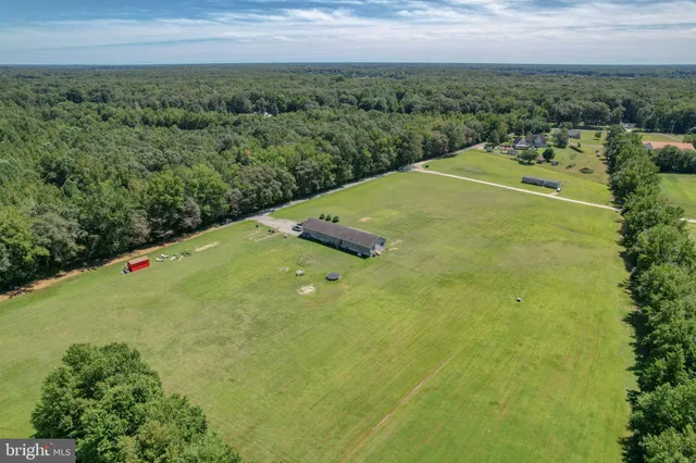 a view of a big yard with swimming pool