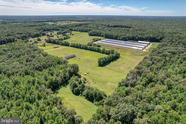 a view of a lake with a yard