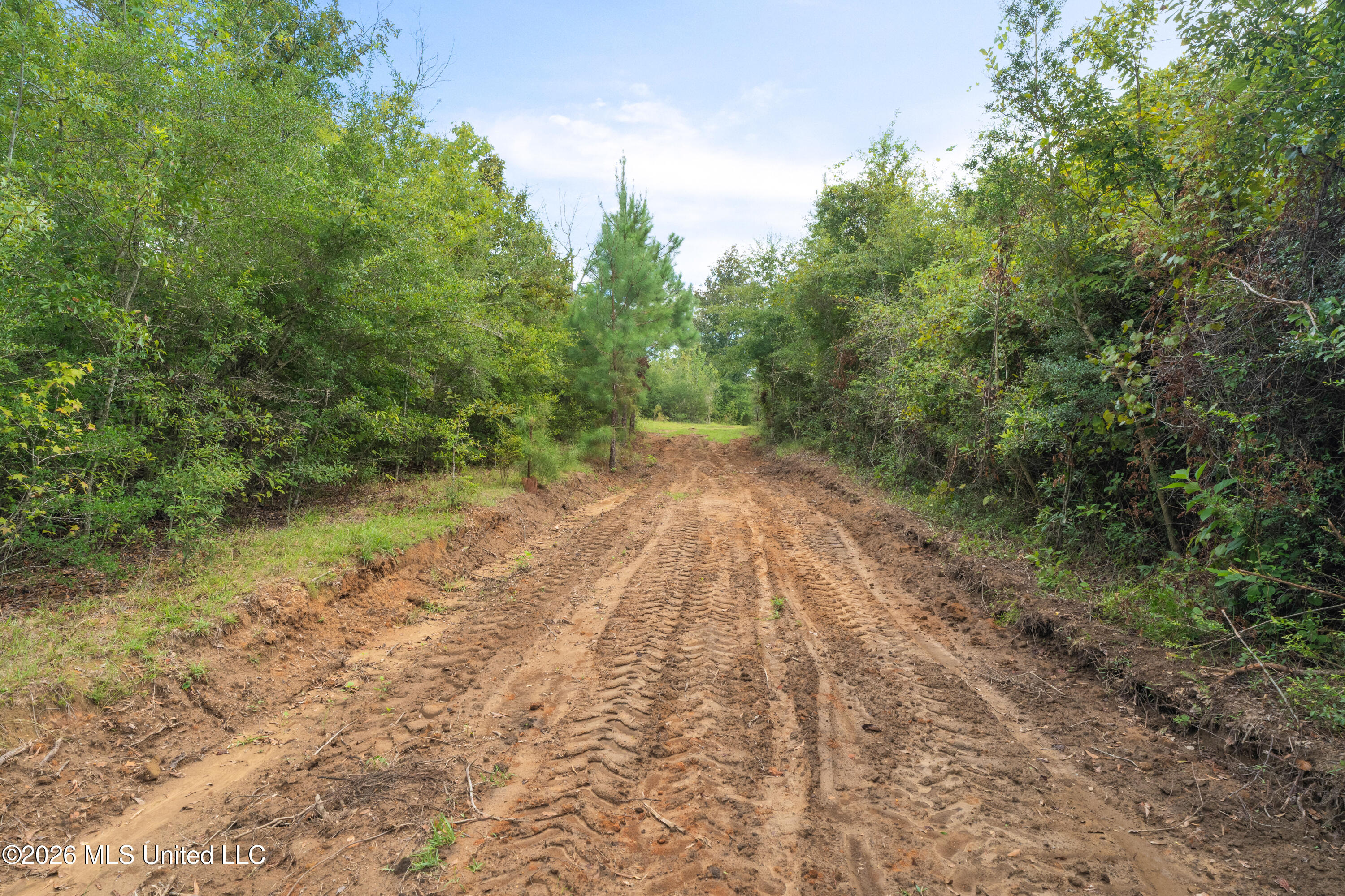 2705 Pilgrims Rest Road Magnolia, MS 39652 - Photo 46 of 68 2629_Pilgrims_Rest_Rd_Lot_3-4
