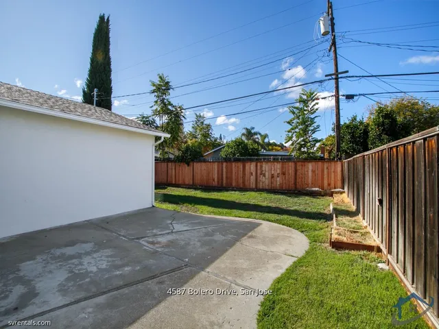 a view of a backyard with plants and a fence