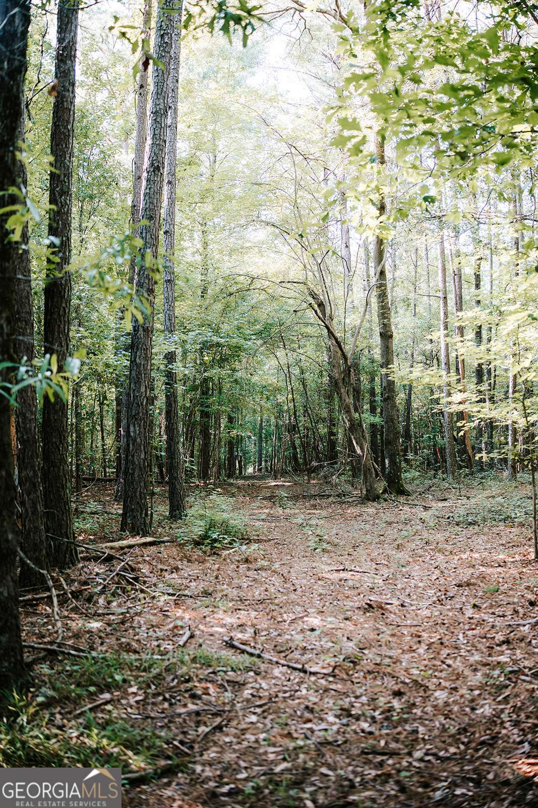 50 Bob White Road Colbert, GA 30628 - Photo 19 of 33 Gallery Image 19