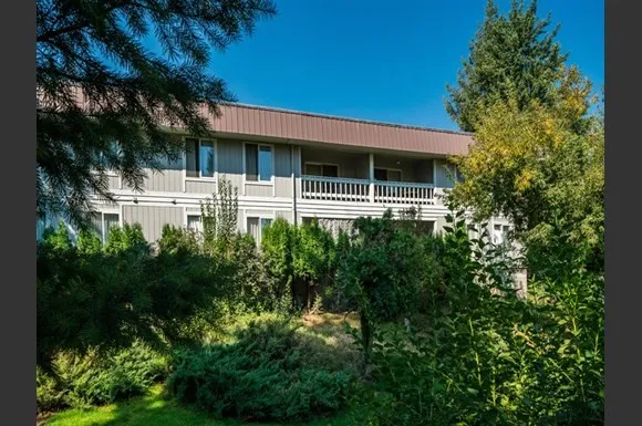 a view of a house with potted plants and a tree