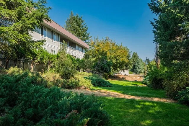 a view of a backyard with plants and large trees