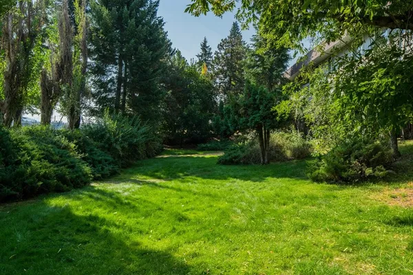a view of a park with trees in the background