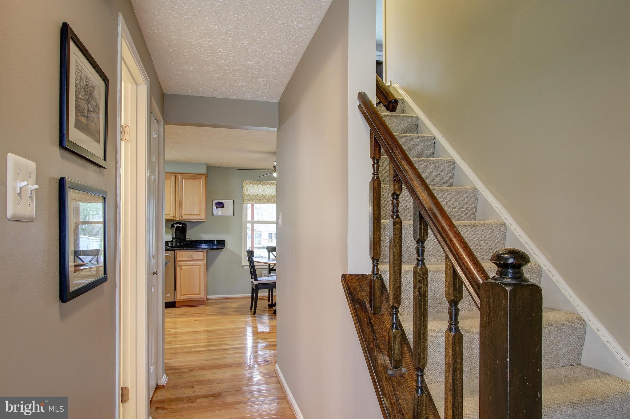 1113 Windmill Lane Silver Spring, MD 20905 - Photo 4 of 30 Gleaming Hardwood Floors Invite You Inside
