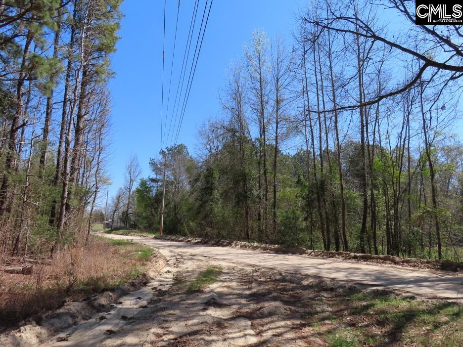 1672 Dixired Road Leesville, SC 29070 - Photo 16 of 67