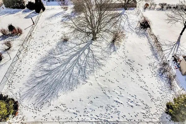 a view of a dry yard with trees