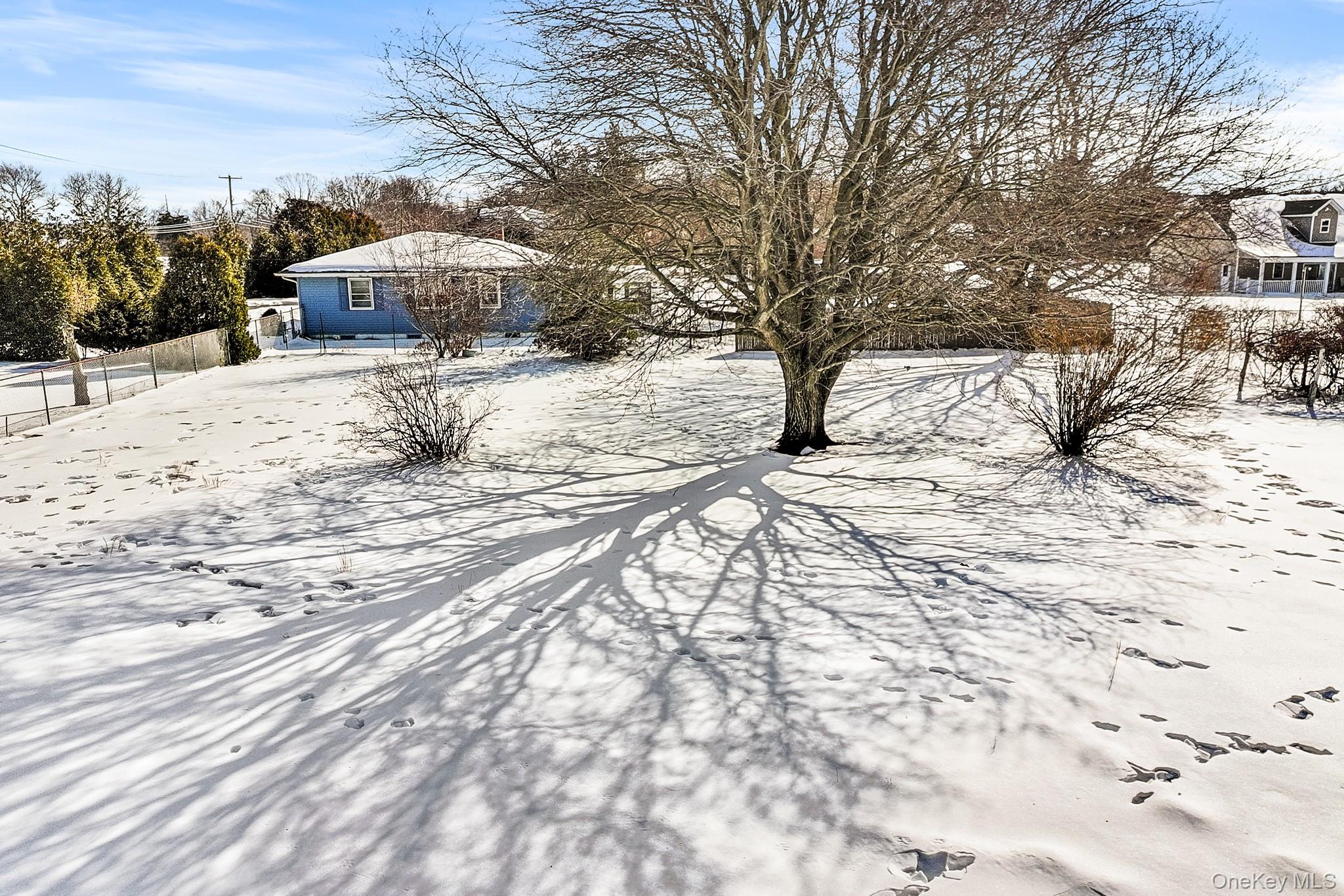 257 Doctors Path Riverhead, NY 11901 - Photo 16 of 18 a view of a yard covered in snow