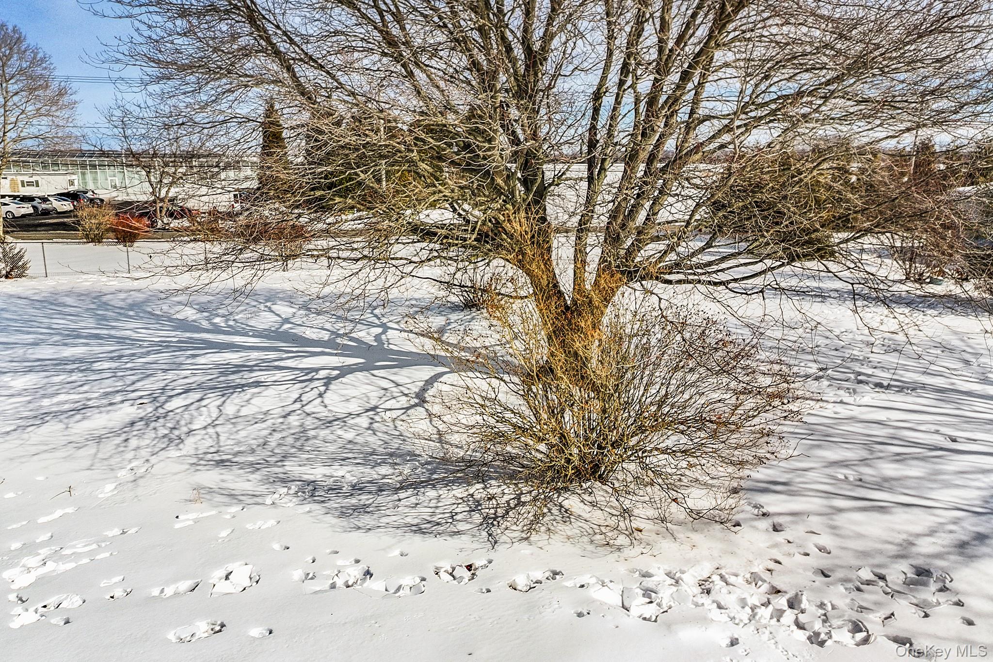 257 Doctors Path Riverhead, NY 11901 - Photo 17 of 18 a view of road with snow on the road