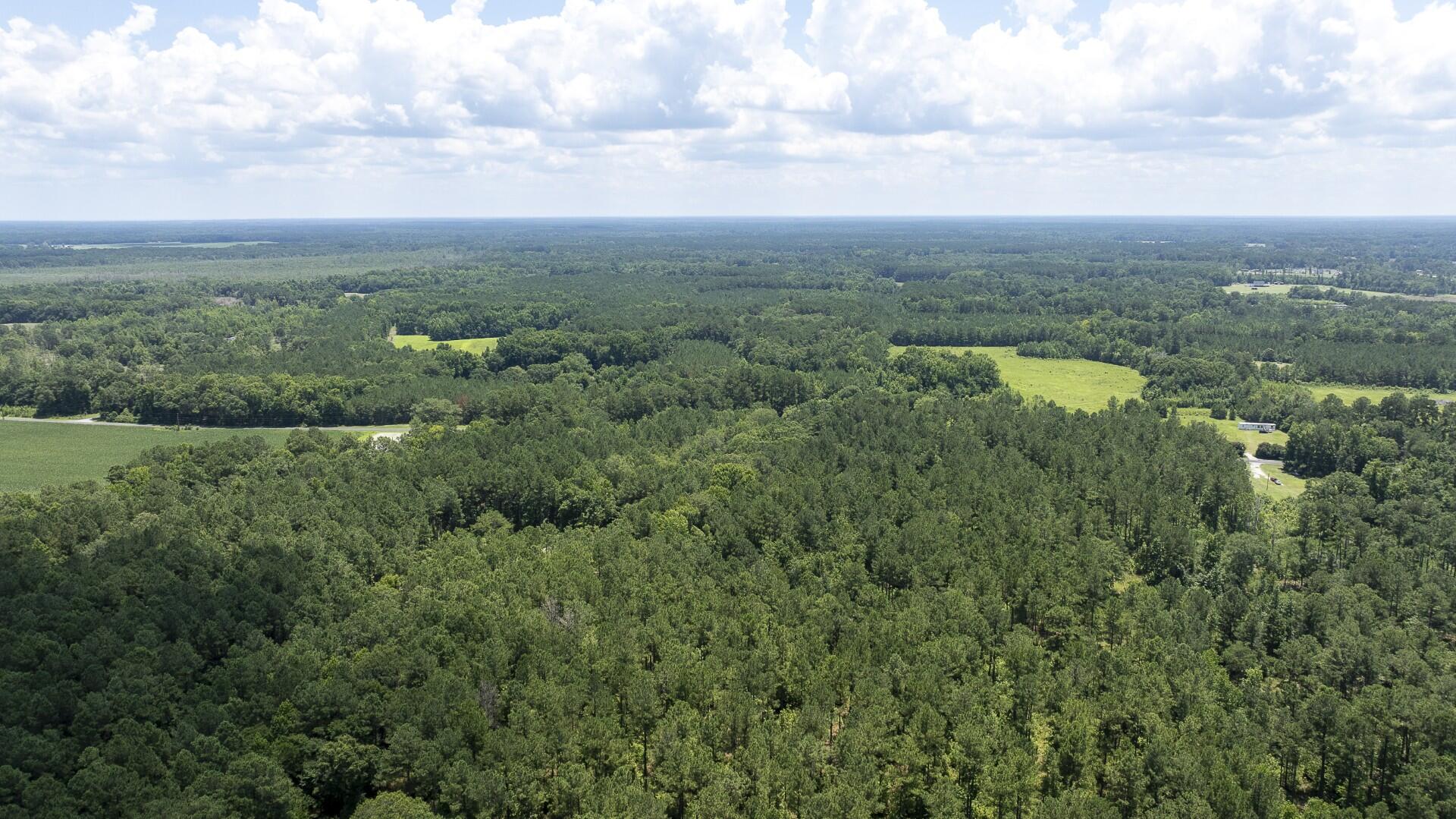 0 Toney Bay Road, Unit 3 Holly Hill, SC 29059 - Photo 17 of 36 Toney Bay-17