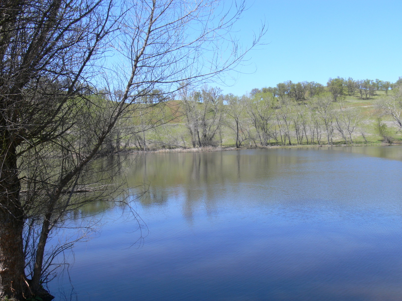 Lowery Road Red Bluff, CA 96080 - Photo 1 of 5 a view of lake with green space