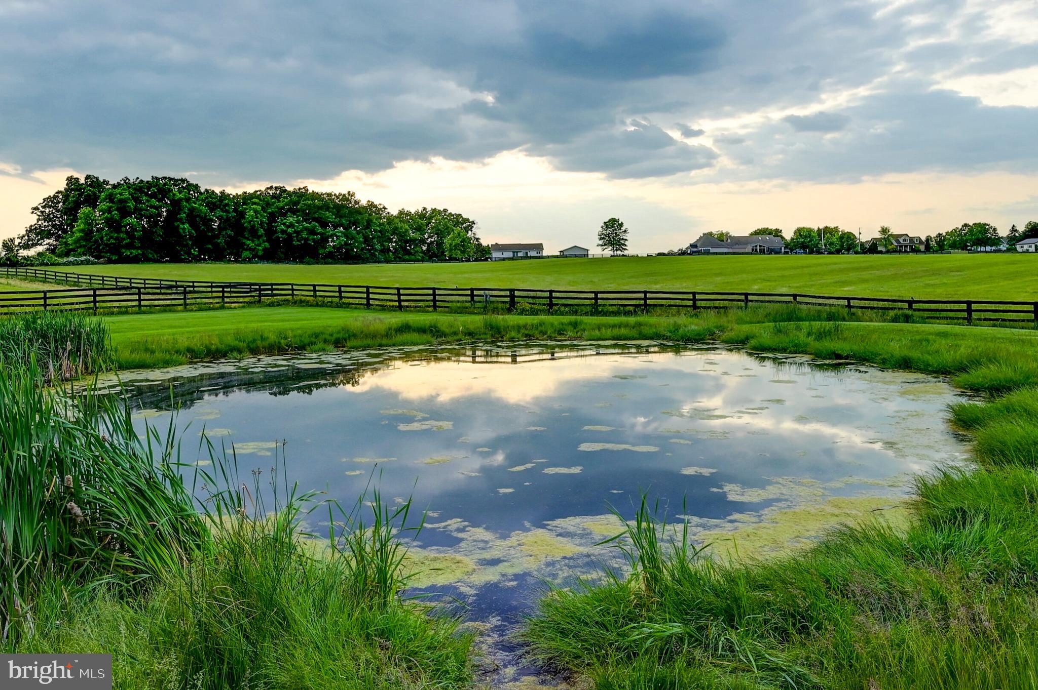 1384 Bon-Ox Road Gettysburg, PA 17325 - Photo 8 of 100 Farm Pond