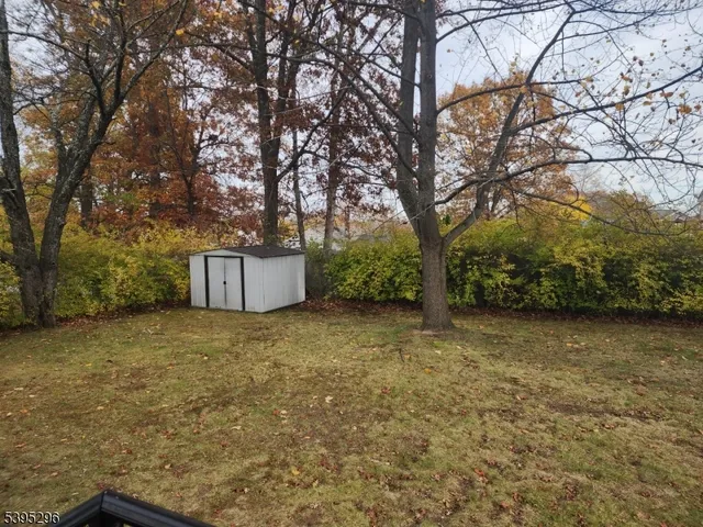 a big yard with large trees