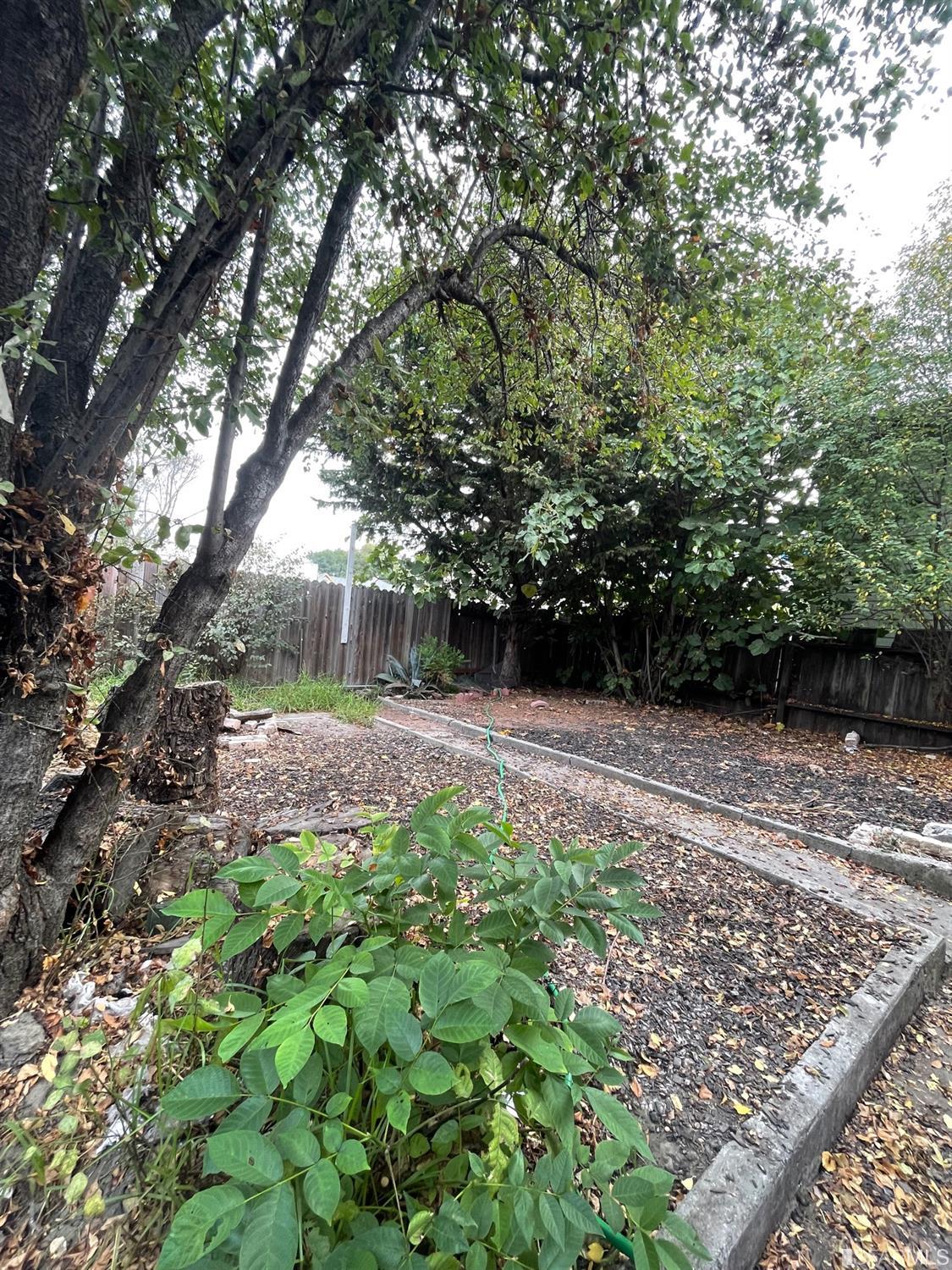 1022 24th Street Oakland, CA 94607 - Photo 8 of 9 a view of backyard with green space
