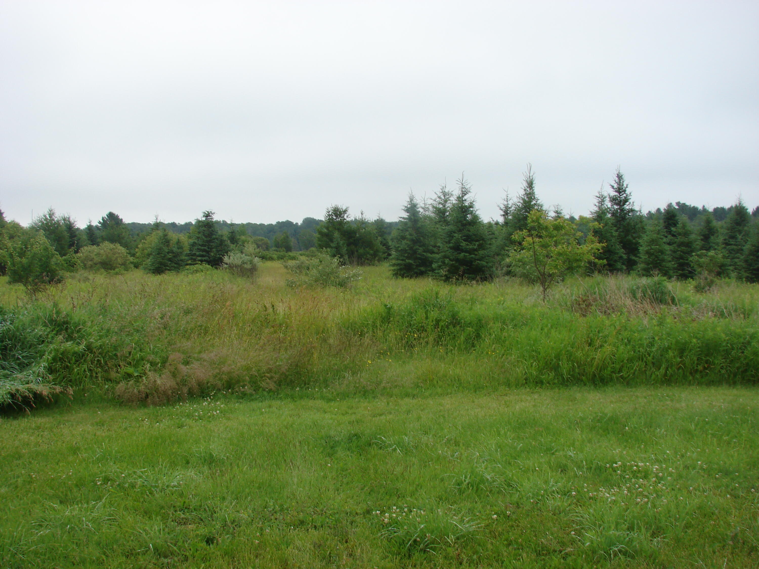 11152 Inverness Trail Road Cheboygan, MI 49721 - Photo 12 of 29 Gallery Image 12