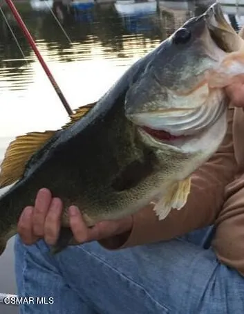 a view of outdoor space