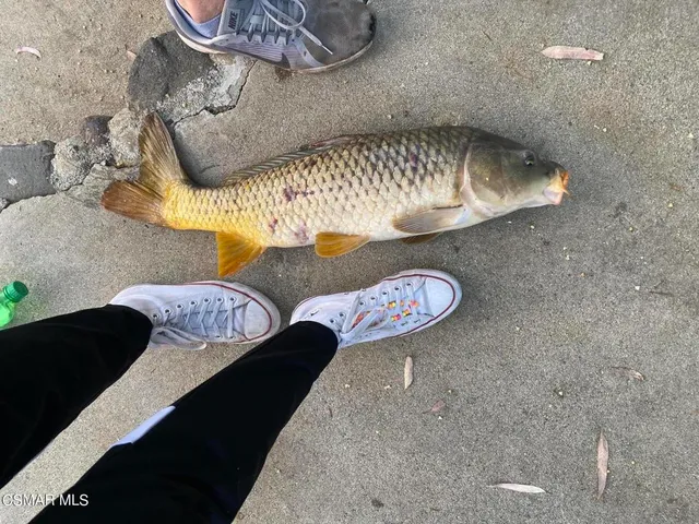 $349,000 | 2411 Highpoint Drive, Agoura Hills, CA 91301