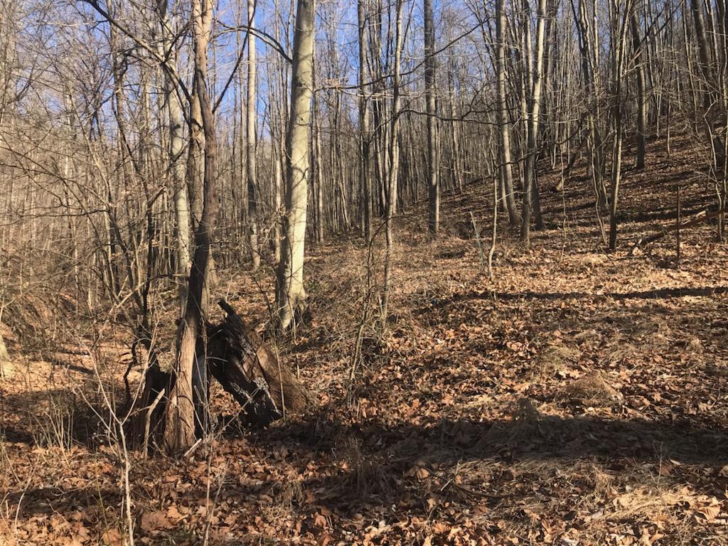 11220 Ellinger Road Logan, OH 43138 - Photo 22 of 26 Gallery Image 22
