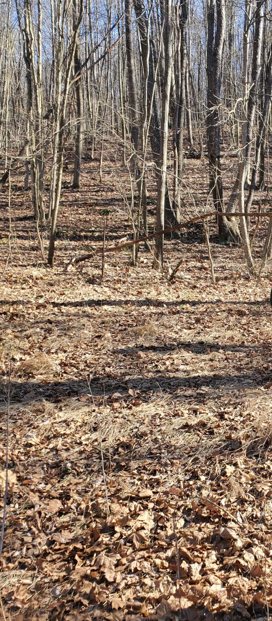 11220 Ellinger Road Logan, OH 43138 - Photo 26 of 26 Gallery Image 26