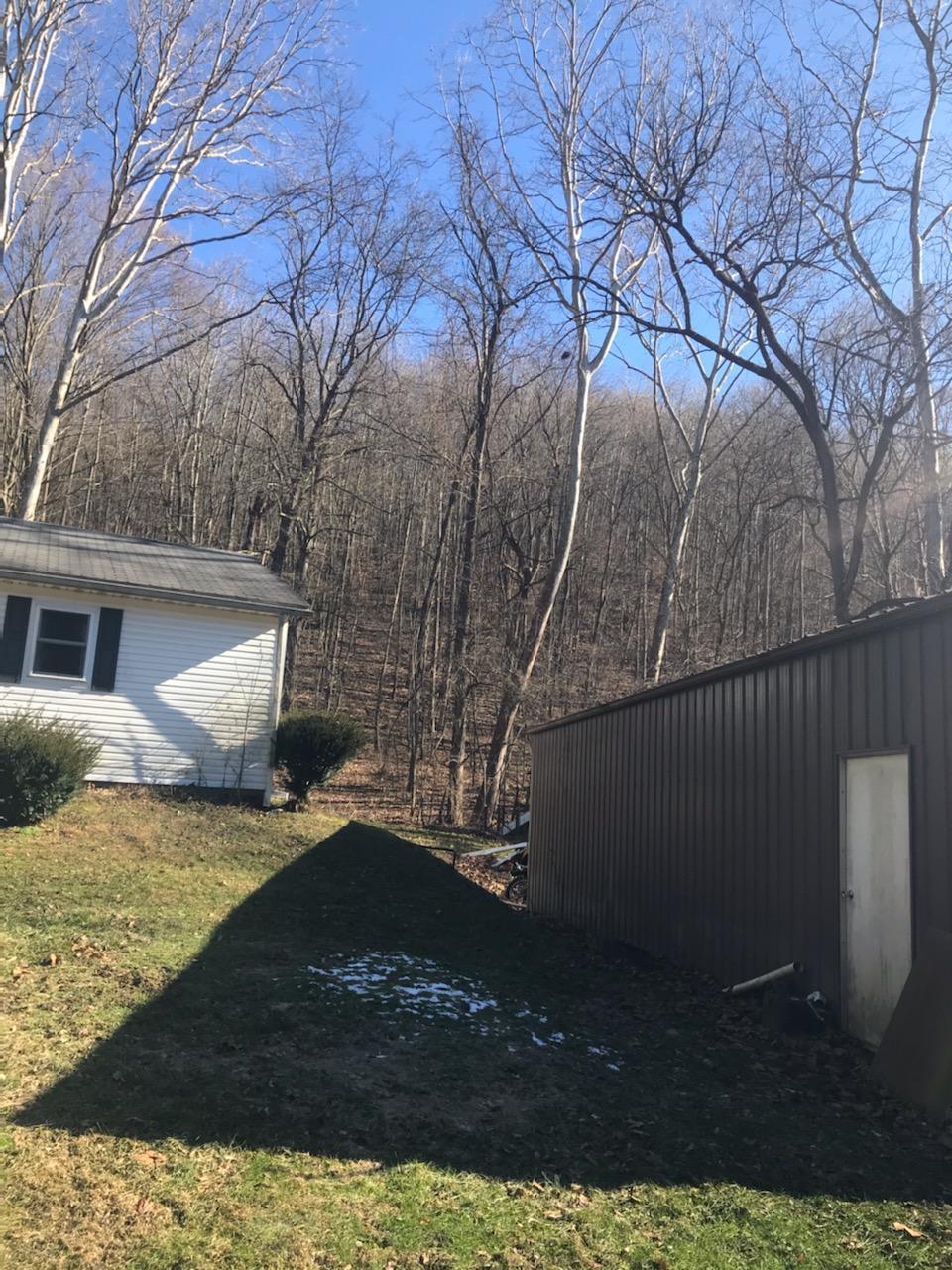11220 Ellinger Road Logan, OH 43138 - Photo 5 of 26 Gallery Image 5