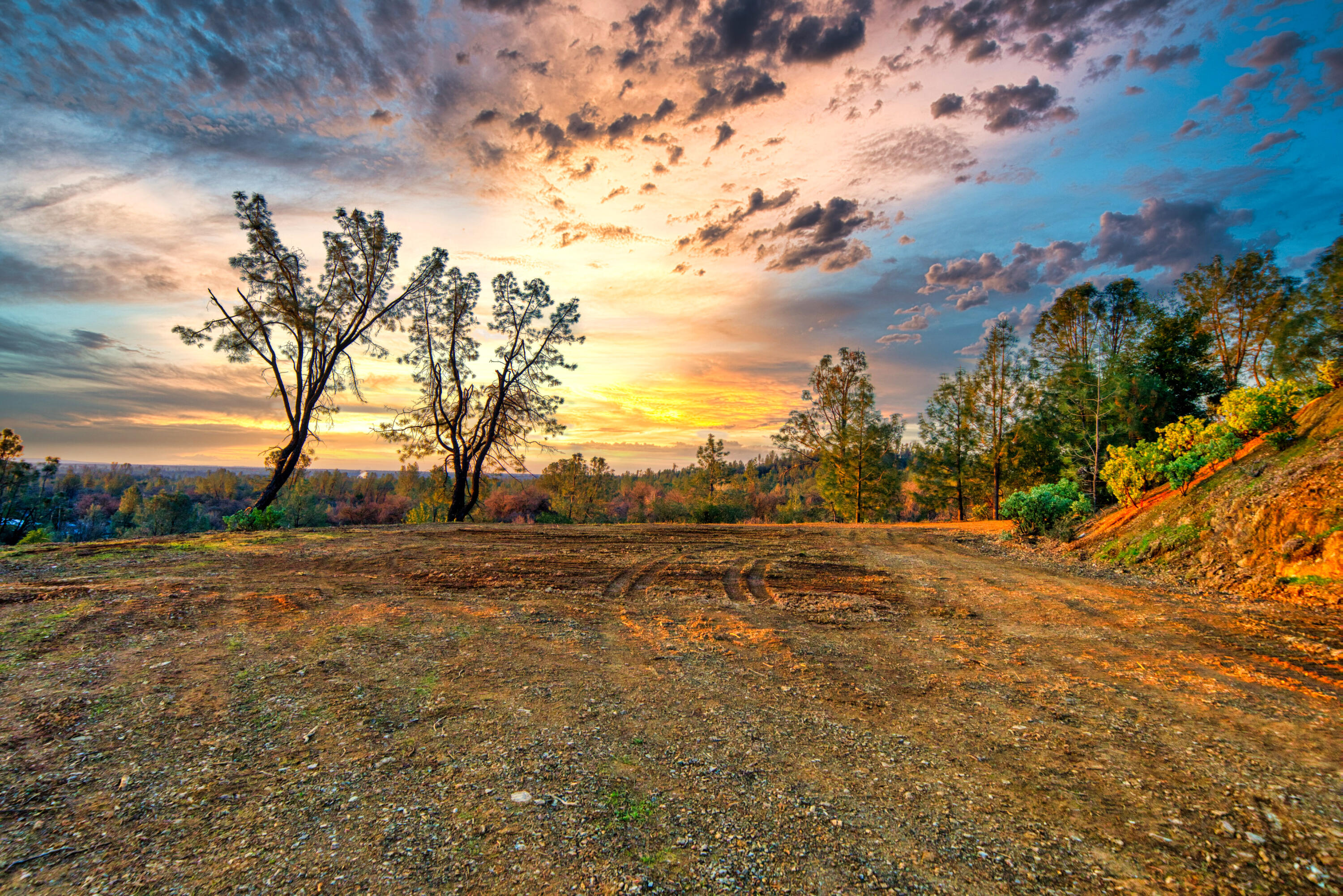 Chaparral Drive Redding, CA 96001 - Photo 8 of 9 a view of dirt field with trees