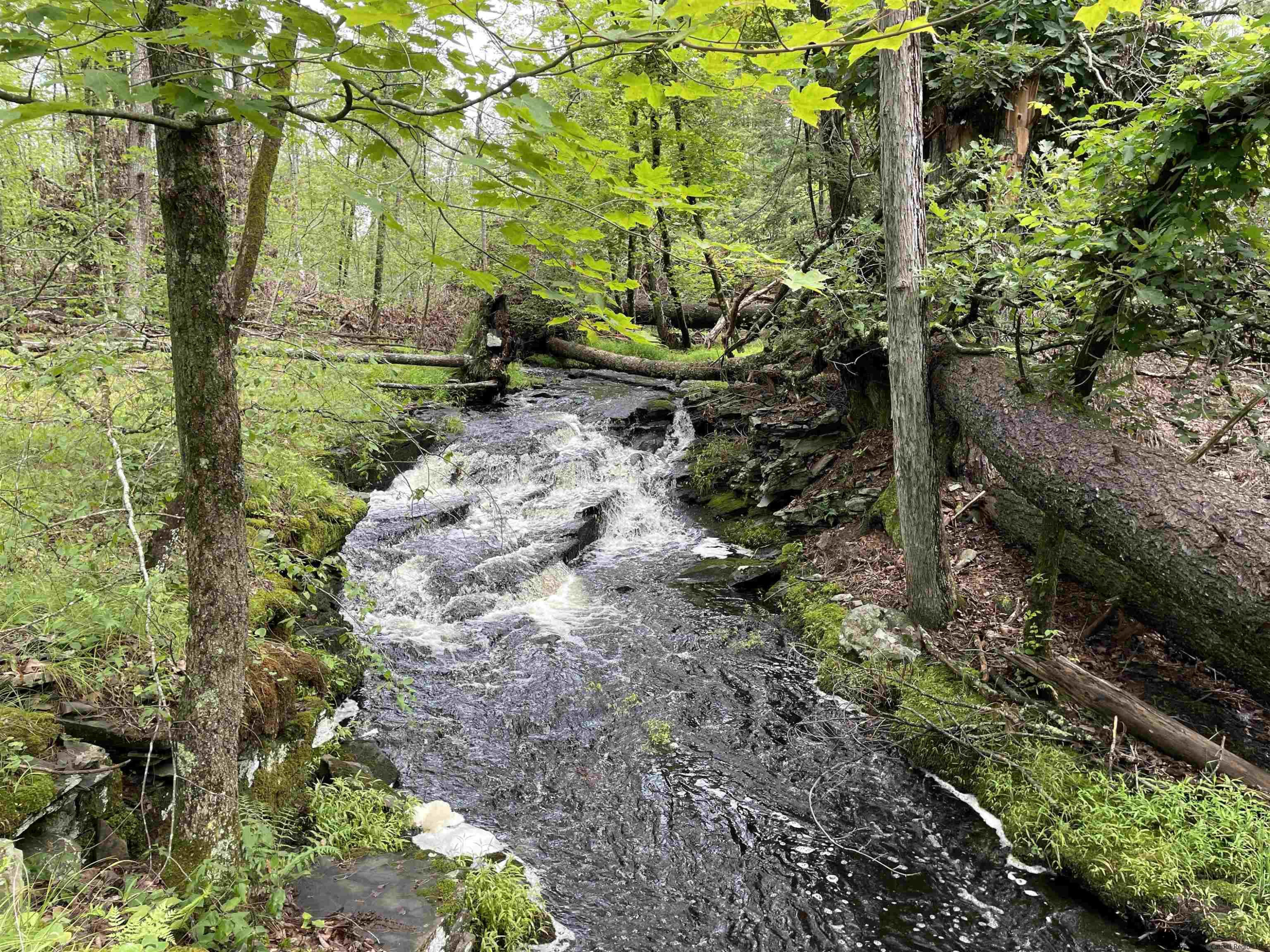 856 Ashokan Road Kingston, NY 12401 - Photo 12 of 22 a view of a garden with large trees