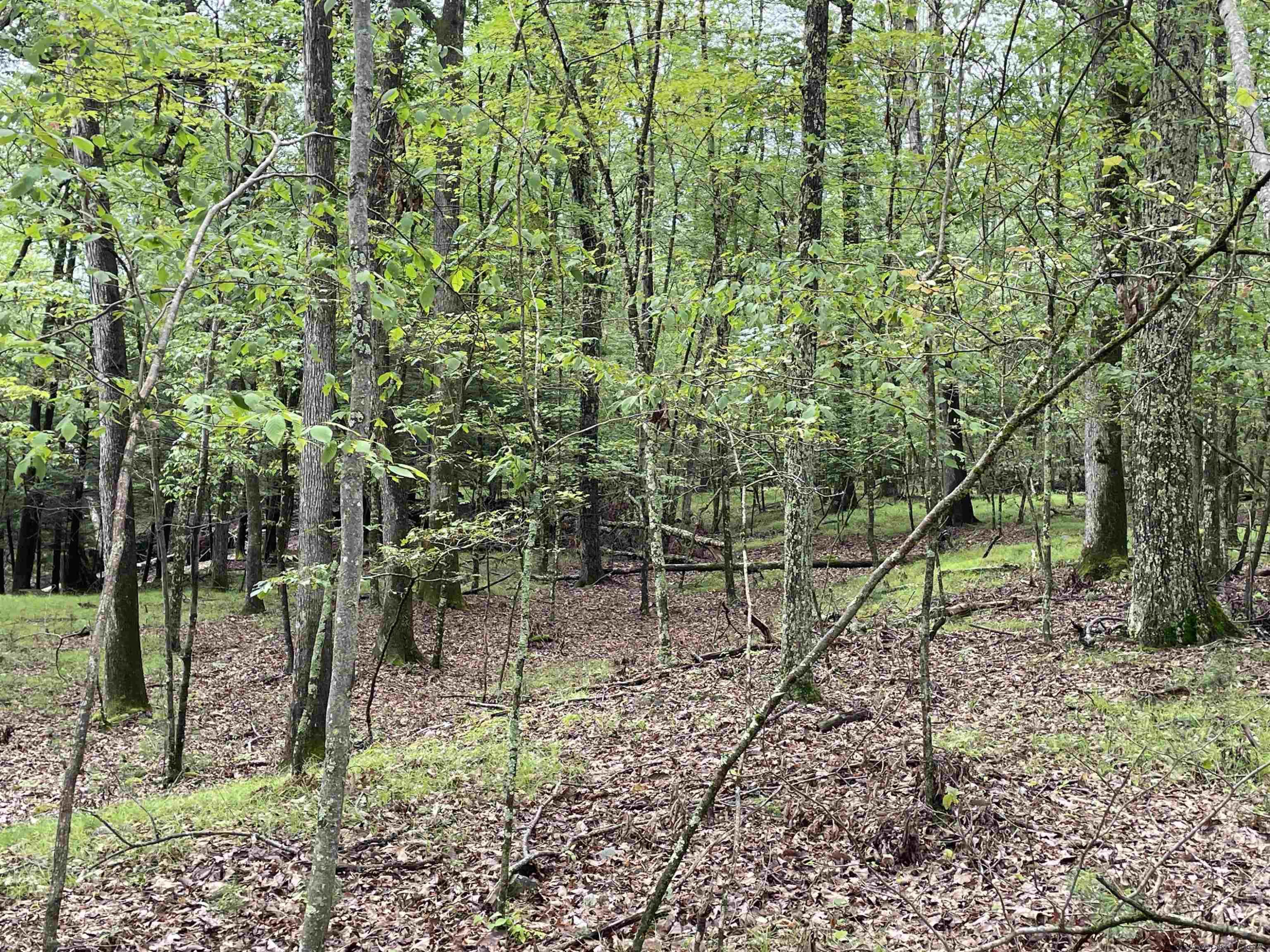 856 Ashokan Road Kingston, NY 12401 - Photo 13 of 22 a backyard of a house with lots of green space and a fountain