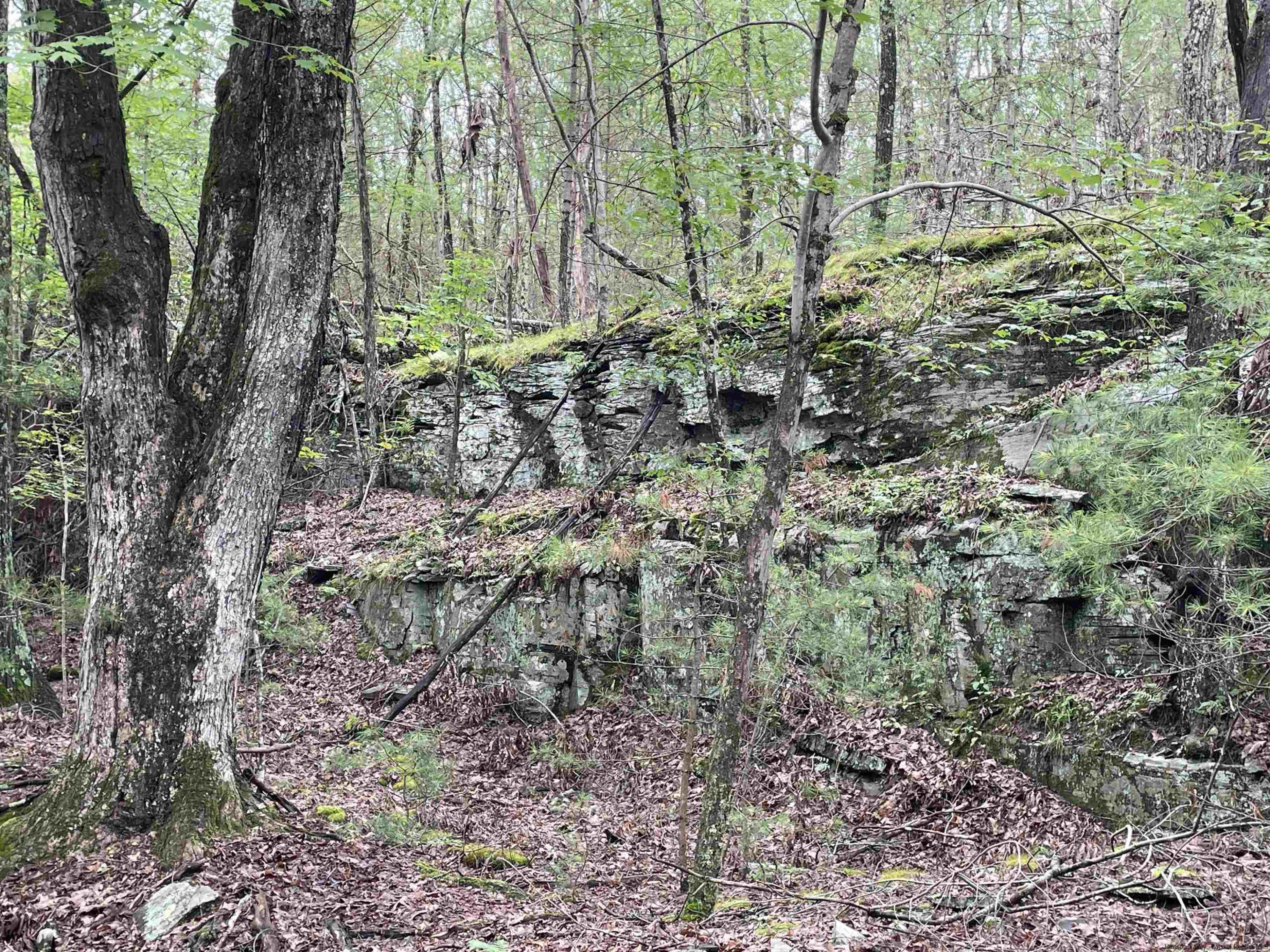 856 Ashokan Road Kingston, NY 12401 - Photo 14 of 22 a view of a yard with plants and trees