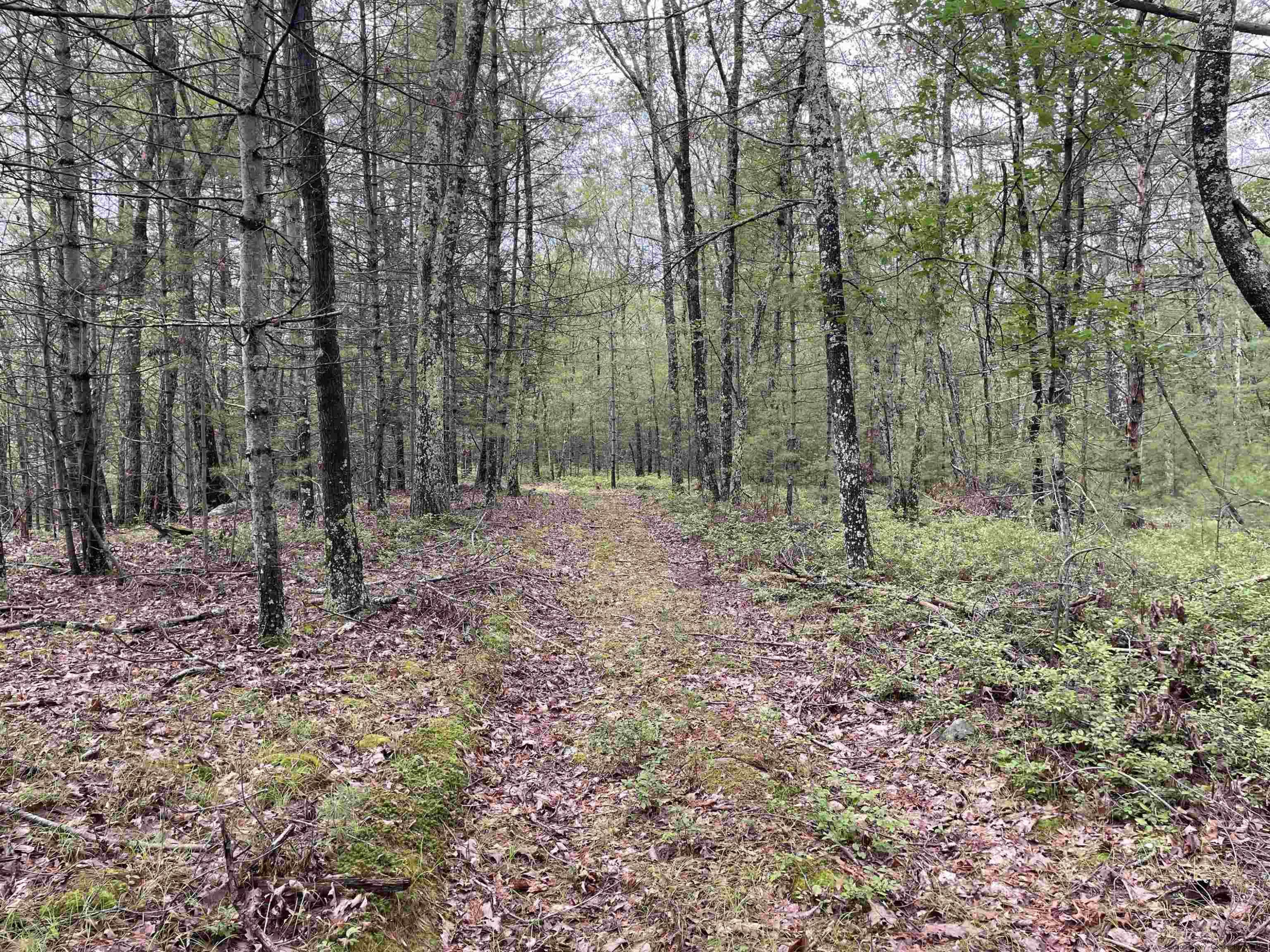 856 Ashokan Road Kingston, NY 12401 - Photo 15 of 22 a view of outdoor space with trees