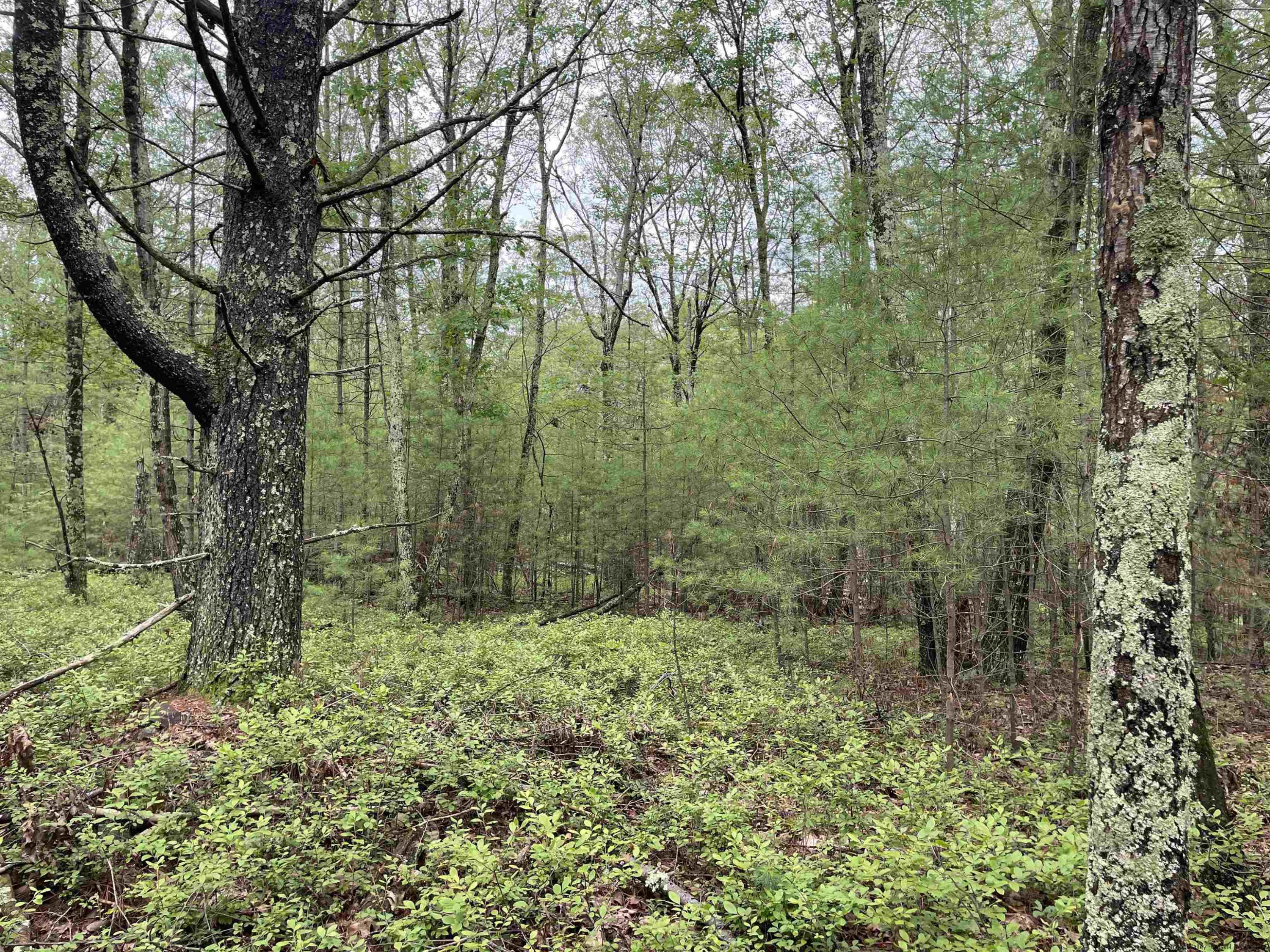 856 Ashokan Road Kingston, NY 12401 - Photo 16 of 22 a big yard with lots of green space and house