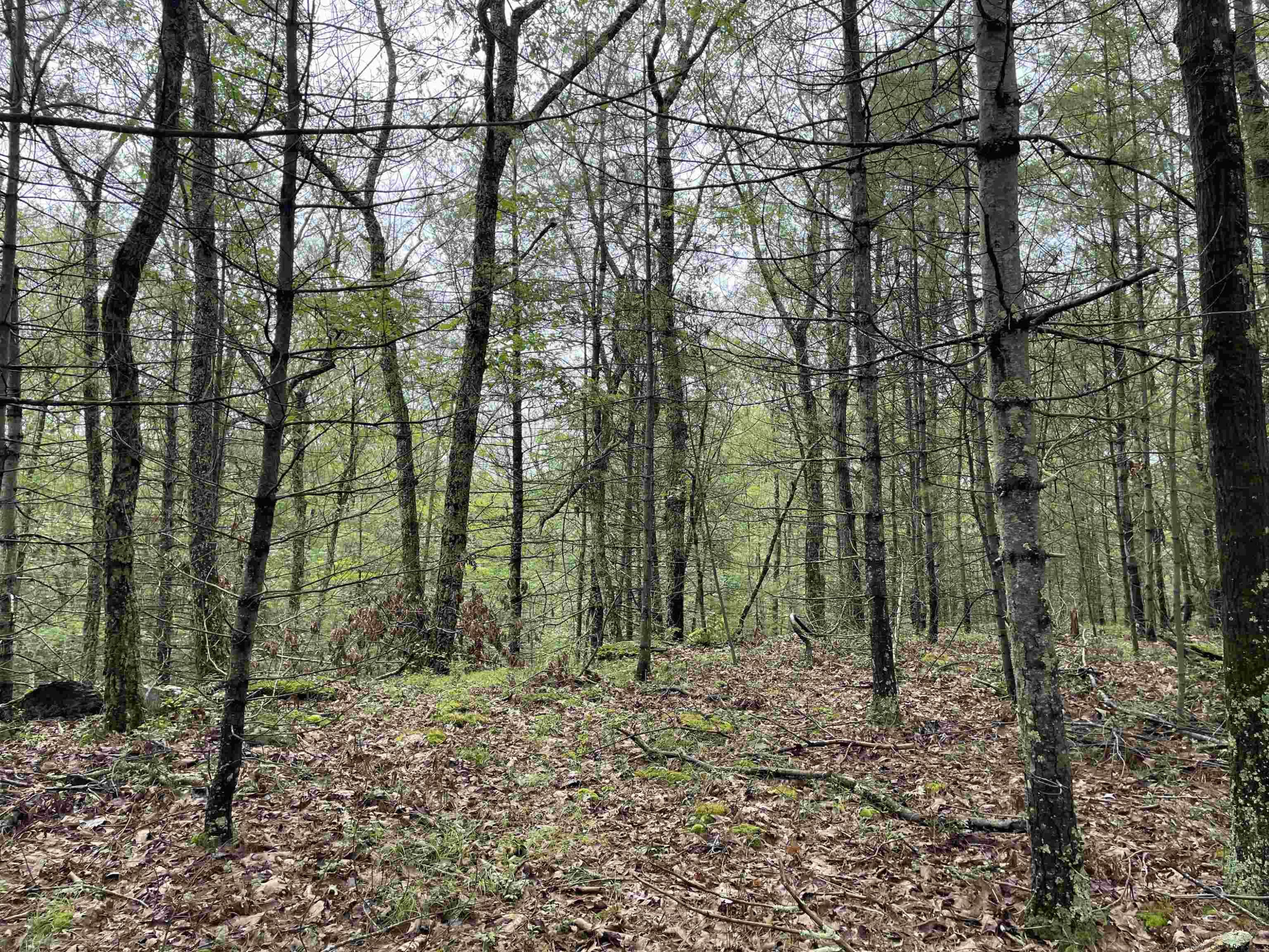 856 Ashokan Road Kingston, NY 12401 - Photo 17 of 22 a view of outdoor space and yard