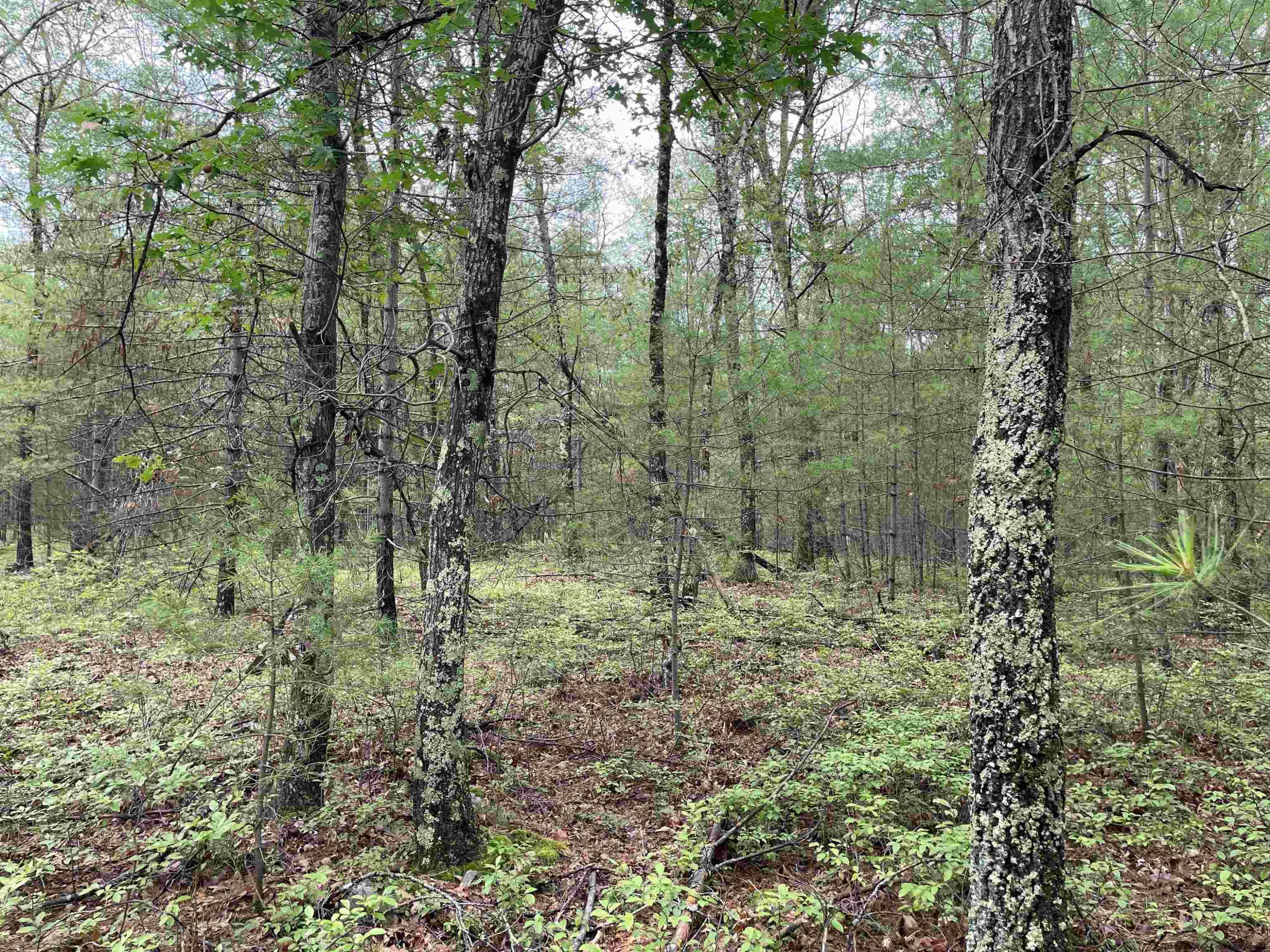 856 Ashokan Road Kingston, NY 12401 - Photo 18 of 22