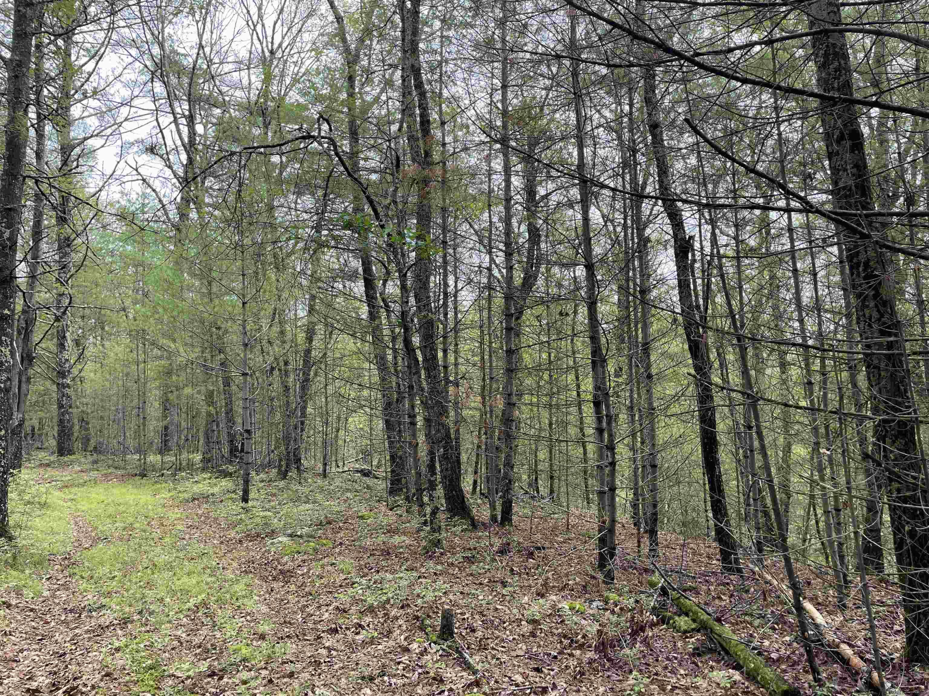 856 Ashokan Road Kingston, NY 12401 - Photo 20 of 22 a view of outdoor space and green space