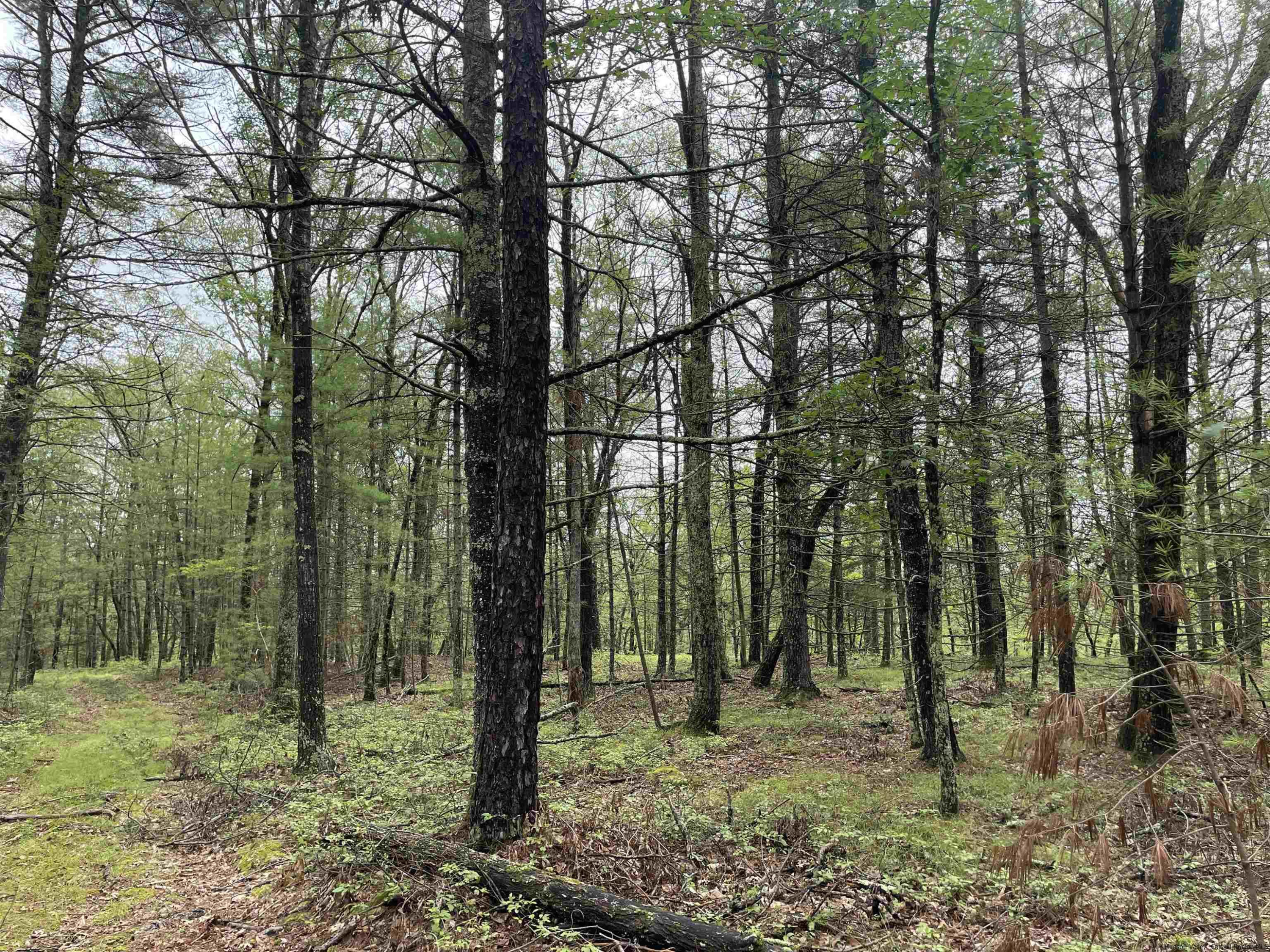 856 Ashokan Road Kingston, NY 12401 - Photo 22 of 22 a green field with lots of trees