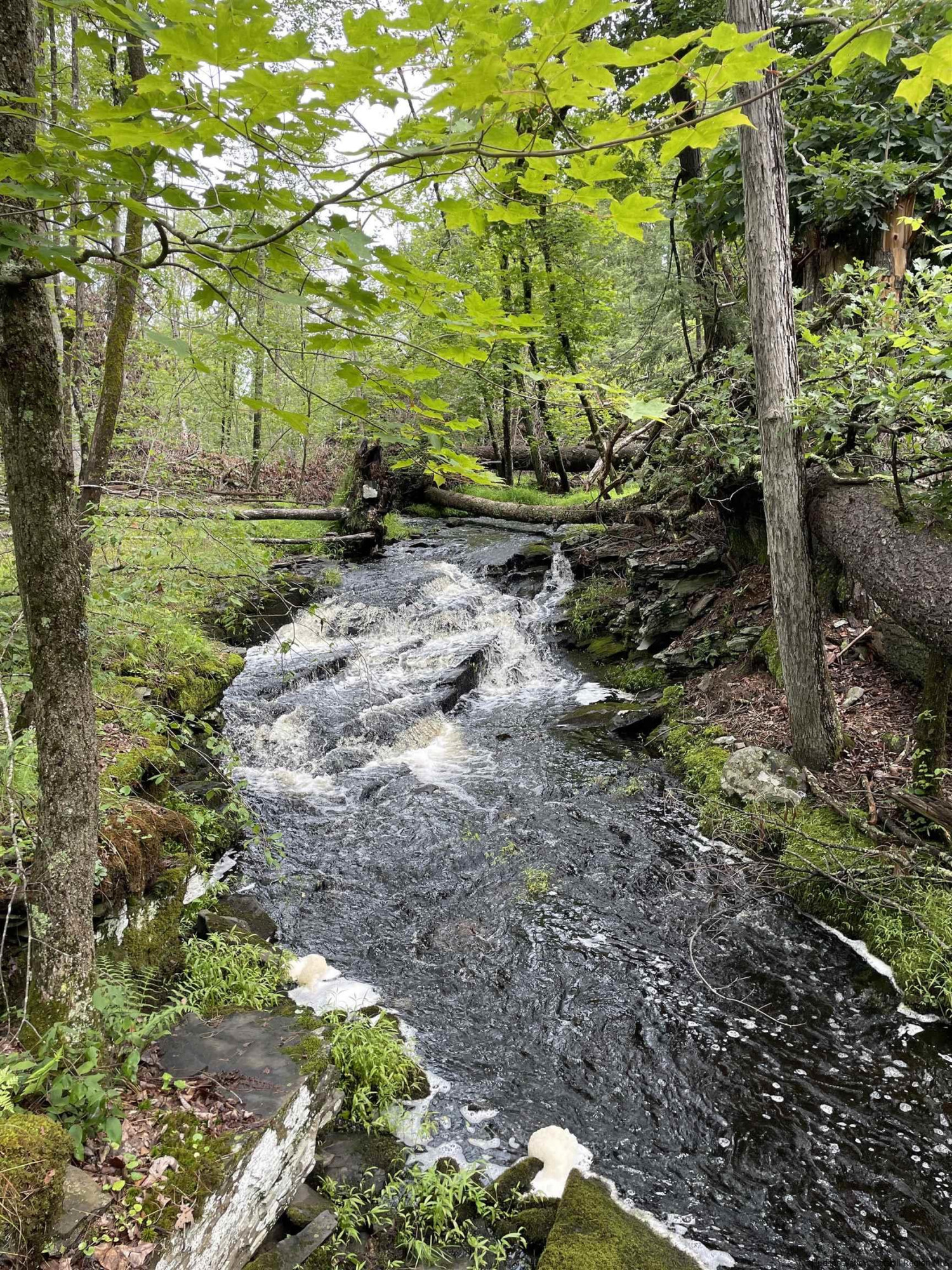 856 Ashokan Road Kingston, NY 12401 - Photo 4 of 22 a backyard of a house with lots of green space