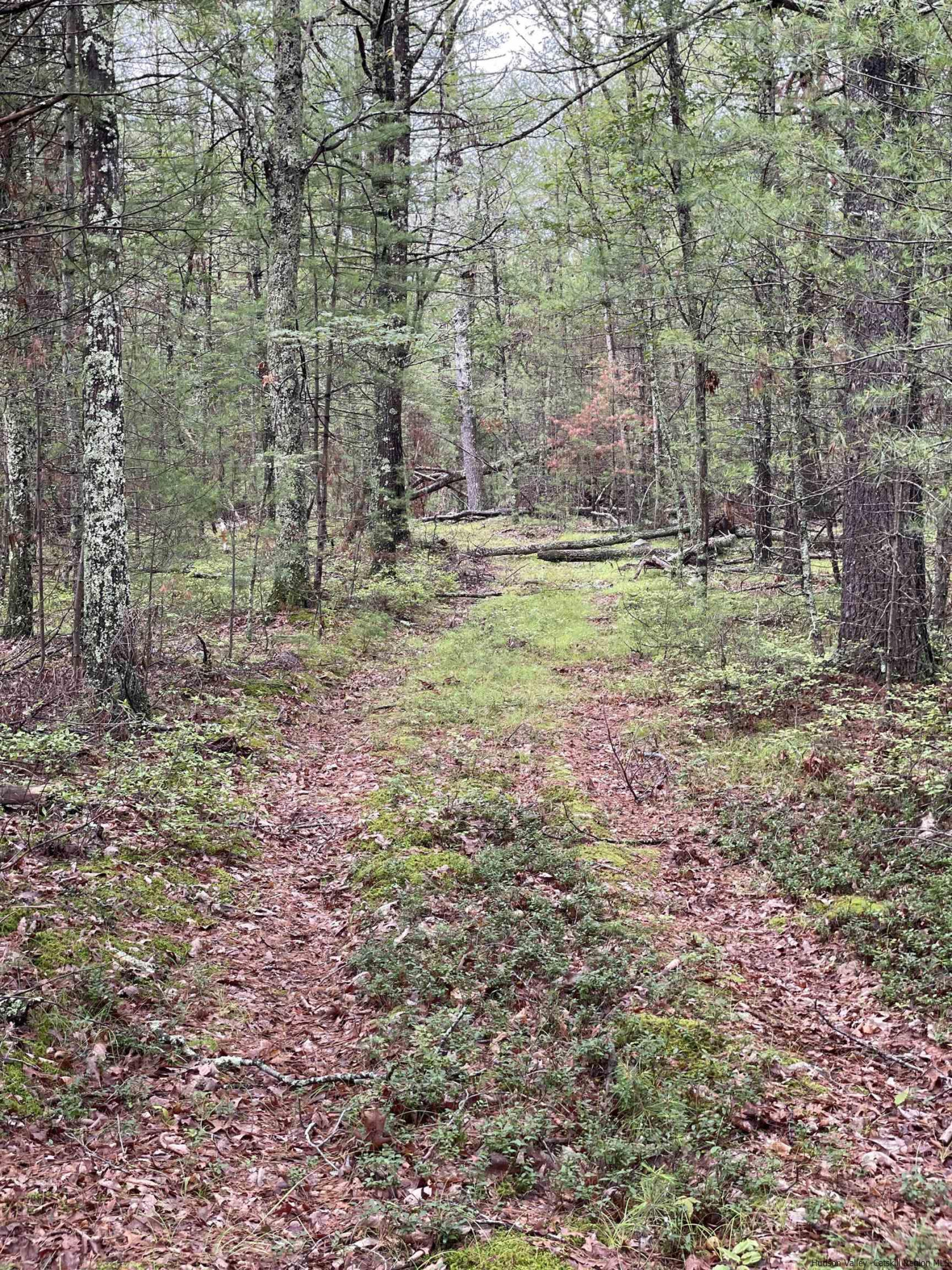 856 Ashokan Road Kingston, NY 12401 - Photo 6 of 22